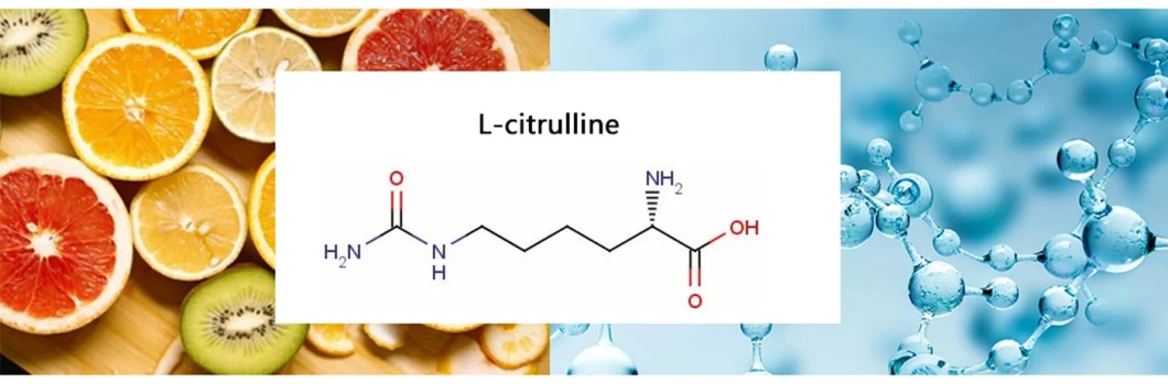 L-Citrulline / Citrulline / Amino Acids / CAS: 372-75-8