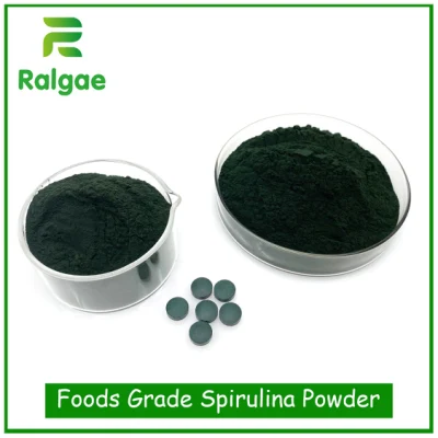 Spirulina Green Powder Foods Grade Suplementos nutricionales de alto valor proteico