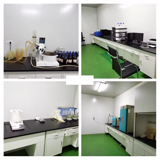 Extracto de germen de trigo Materias primas cosméticas hidratantes 30% Ceramida CAS: 100403-19-8